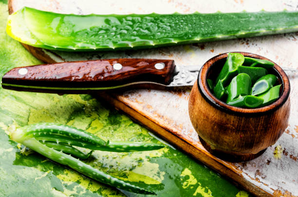 istock Fresh aloe vera leaves 1125622044