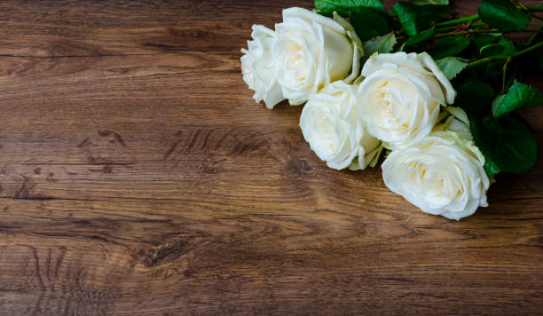 istock rose flowers on a wooden background 1125625636