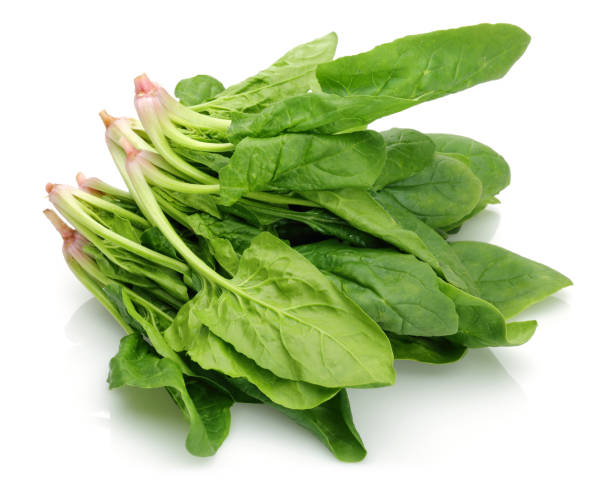 istock Bunch of fresh spinach on white background 1125627216