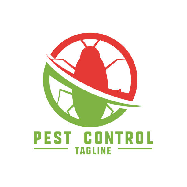 pest control logo isolated on transparent background pest control logo isolated on transparent background. vector illustration insecticide stock illustrations