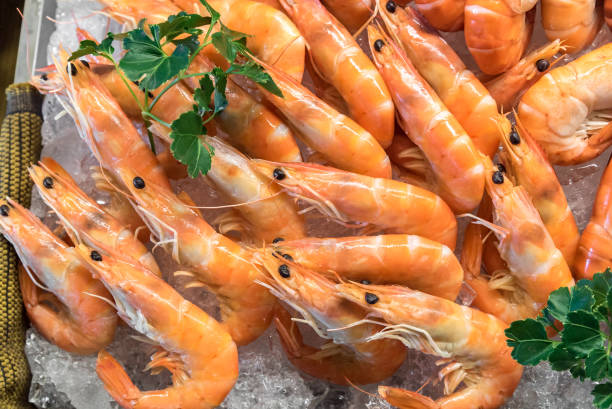 Seafood on ice Freshly cooked prawns - shrimp on ice ice pie photography stock pictures, royalty-free photos & images