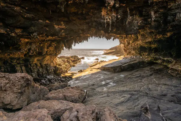 Photo of Admirals arch view at sunset with orange dramatic light and stalactites on Kangaroo island in SA Australia