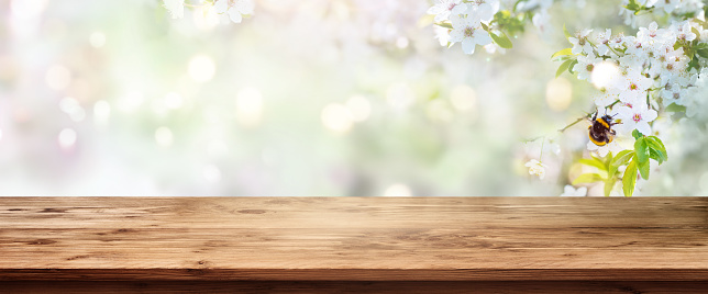 Paisaje de primavera con mesa de madera photo