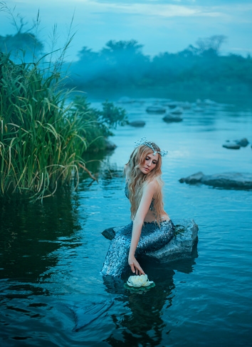 gorgeous fairy-tale princess mermaid because of curse, girl with long blond hair and silver tail wore crown of shells on her head and plays with a divine flower alone, the river bank with lush grass.
