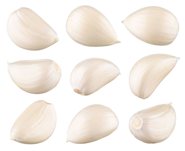 istock Garlic cloves. Garlic clove isolated. Collection. 1125646687