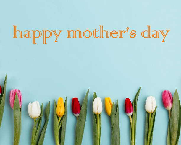 istock Lovely tulip flowers composition. Beautiful tulips, colored tulips. 1125653612