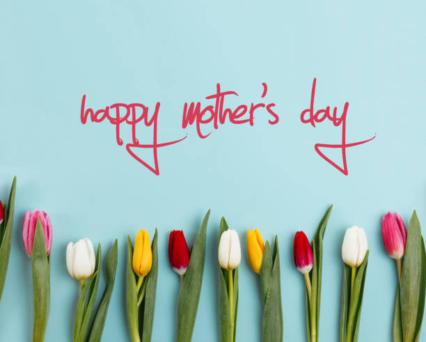 istock Lovely tulip flowers composition. Beautiful tulips, colored tulips. 1125653615