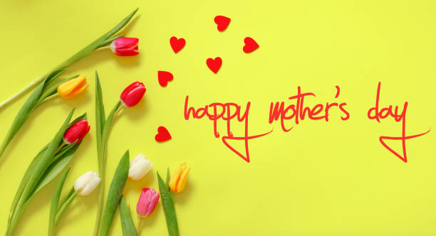 istock Lovely tulip flowers composition. Beautiful tulips, colored tulips. 1125653623