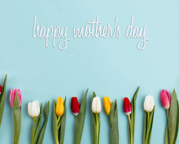 istock Lovely tulip flowers composition. Beautiful tulips, colored tulips. 1125653639