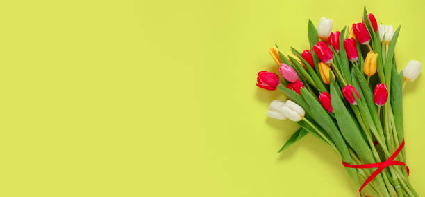 istock Lovely tulip flowers composition. Beautiful tulips, colored tulips. 1125653734