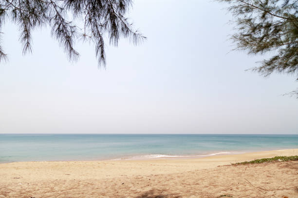 istock Tropical sea white sand beach with leaves frame 1125654165