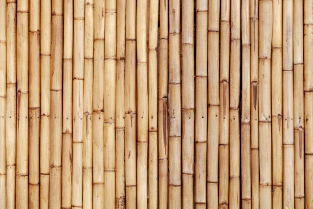 istock Old bamboo fence wall for nature background and web design 1125656556