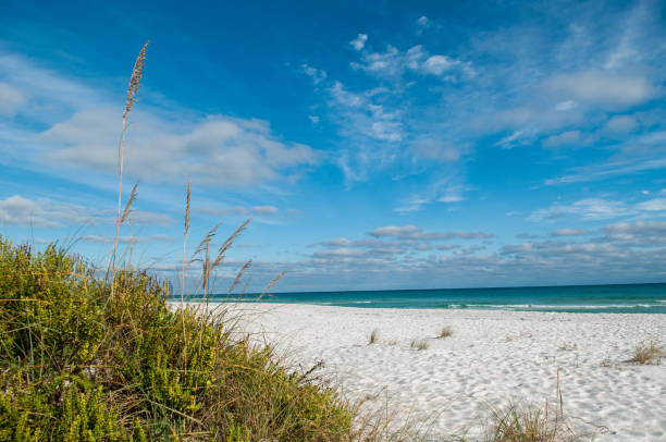 istock Beaches of the Florida Panhandle 1125656825