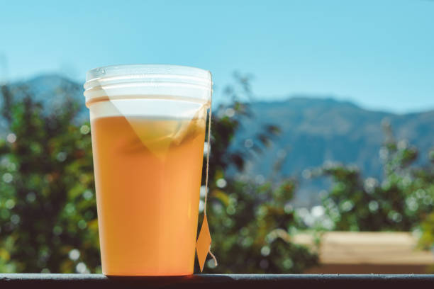 istock a Cup of tea on a background of mountains 1125657929