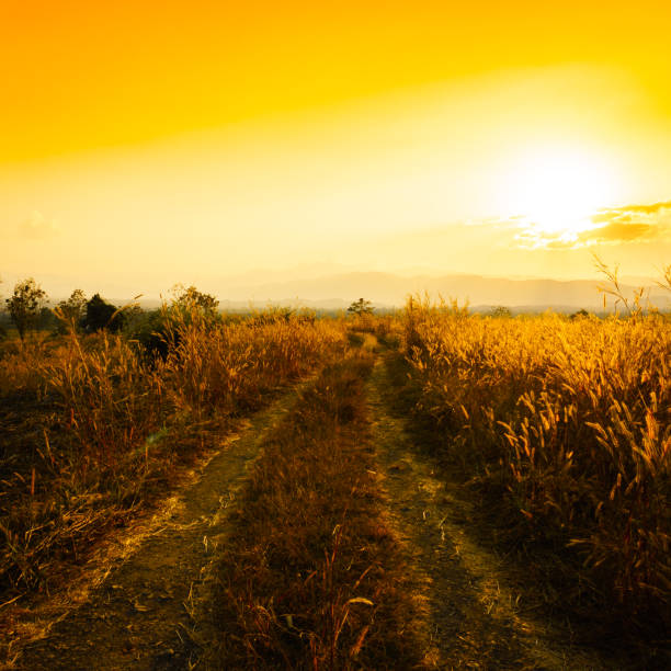 Rural road at sunset on high mountains.\
