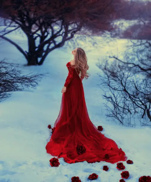 The bloody Countess Batory. girl like gorgeous flower, rosebuds fall on white and cold snow, lady with blond hair in winter forest in long, elegant, red dark dress with train with bare shoulders