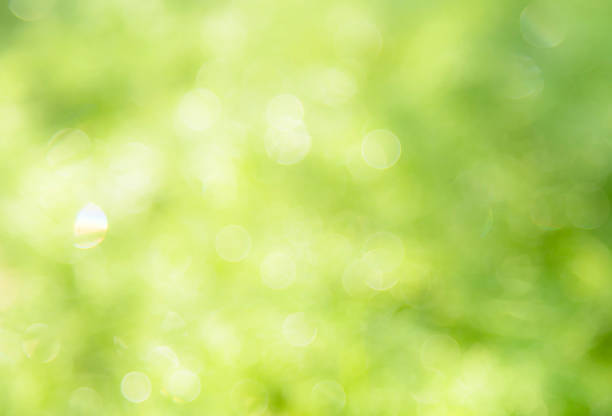 istock Bright glowing nature backgrounds and ligth bokeh. 1125667002