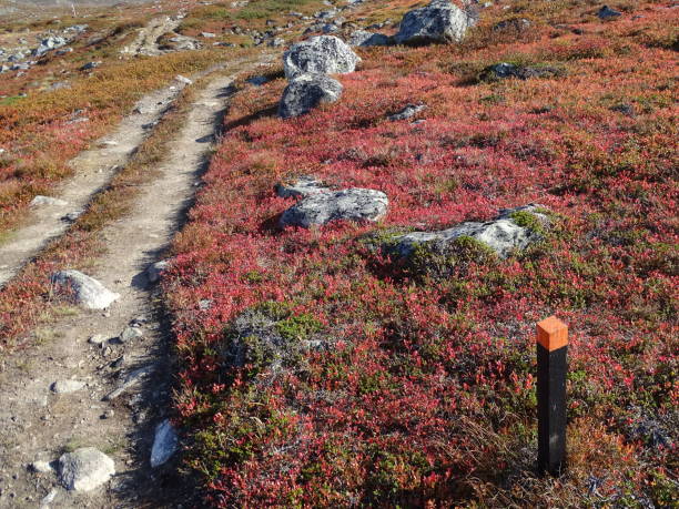 saanajärvi - der see zum gleichnamigen berg - saana stock-fotos und bilder