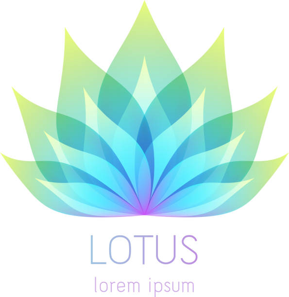 illustrazioni stock, clip art, cartoni animati e icone di tendenza di bellissimo simbolo del fiore di loto. - water lily lotus flower water