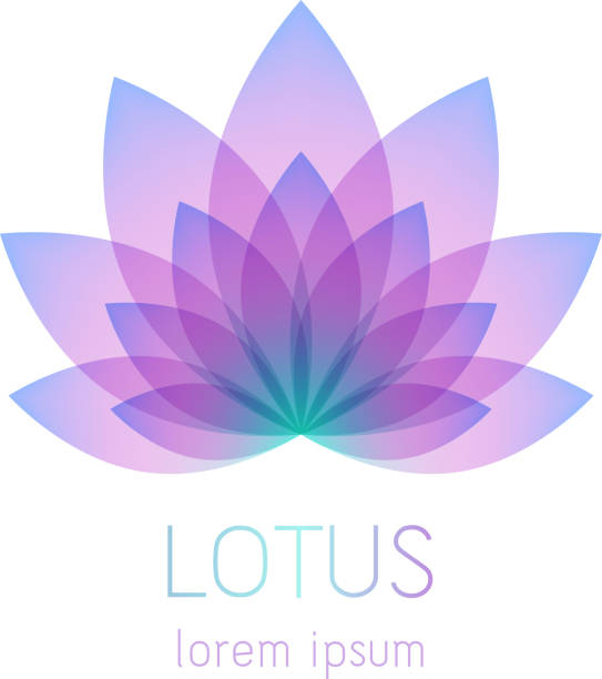 illustrazioni stock, clip art, cartoni animati e icone di tendenza di bellissimo simbolo del fiore di loto. - lotus water lily white flower