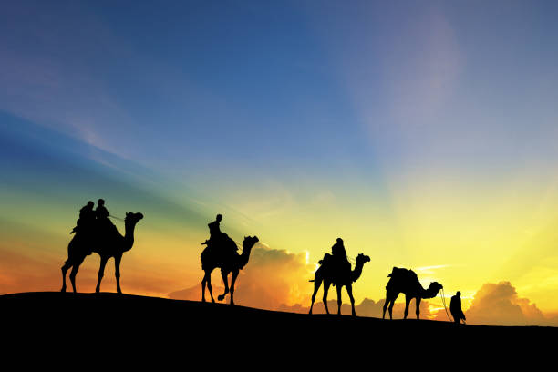 istock caravan Walking with camel through Thar Desert in India, Show silhouette and dramatic sky 1125668418