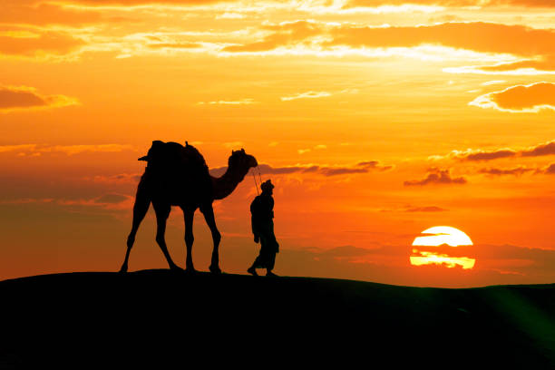 istock Walking with camel through Thar Desert in India, Show silhouette and dramatic sky 1125668424