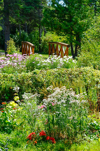 a beautiful garden full of flowers in full bloom at Clear Lake, in Riding Mountain National Park, Manitoba