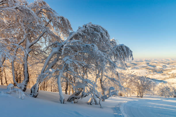 istock Sunny morning on mountain ski resort. 1125673163