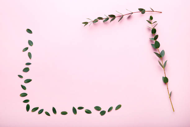 istock Stems with green leafs on pink background 1125674364