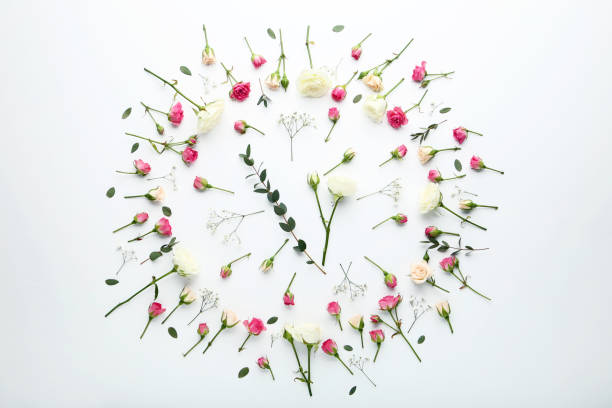 istock Rose flowers and green leafs on white background 1125674845