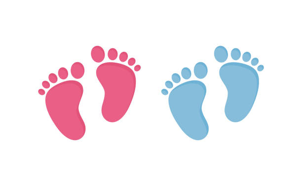 ilustraciones, imágenes clip art, dibujos animados e iconos de stock de pasos de bebé vector ilustración juego - pares de huellas de color rosas y azules en estilo plano. - pies