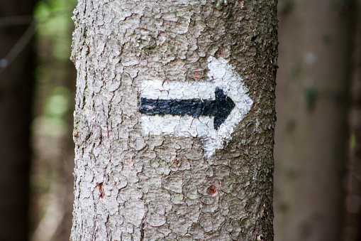 White-black arrow on the tree. Marking the trail in the mountains.