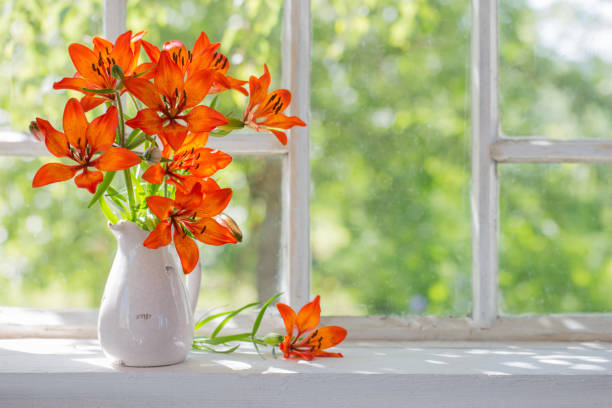 istock orange lily on windowsill 1125684369
