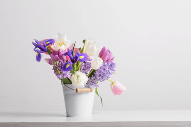 istock spring flowers in bucket on white  background 1125684464