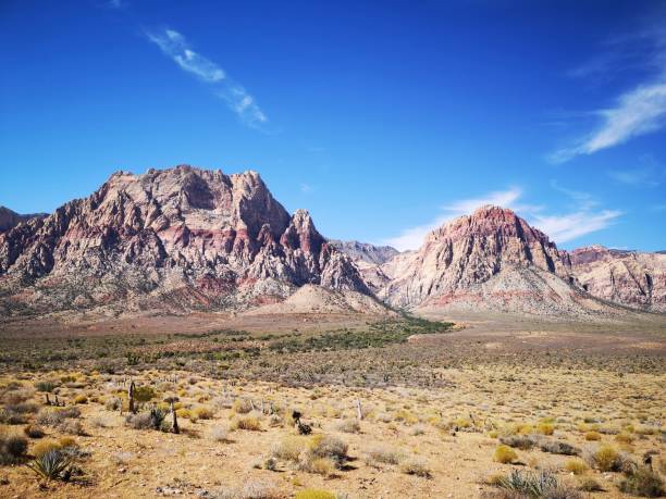 レッド ロック �キャニオンで道路 - usa dirt road rock sandstone ストックフォトと画像