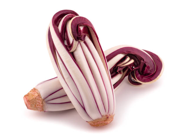 Radicchio Rosso of Treviso Radicchio, red Treviso chicory isolated on white radicchio tardivo stock pictures, royalty-free photos & images