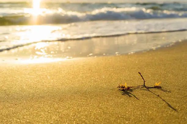 sunset beach at phuquoc island, vietnam