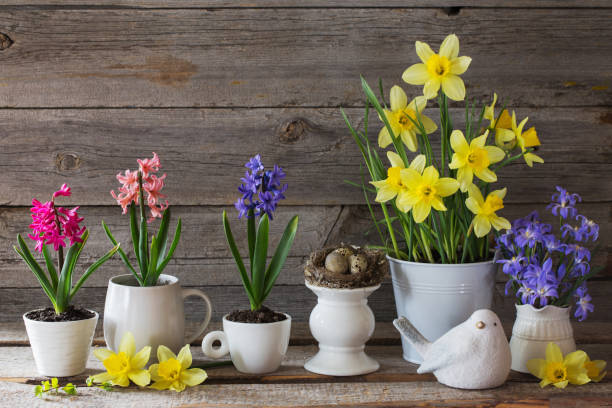 istock Easter decoration on old wooden background 1125692089