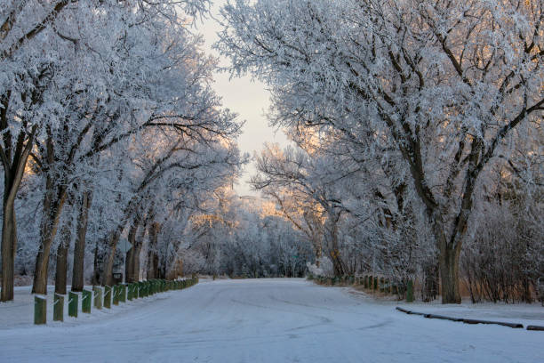 istock Winter Frost Saskatchewan 1125696141