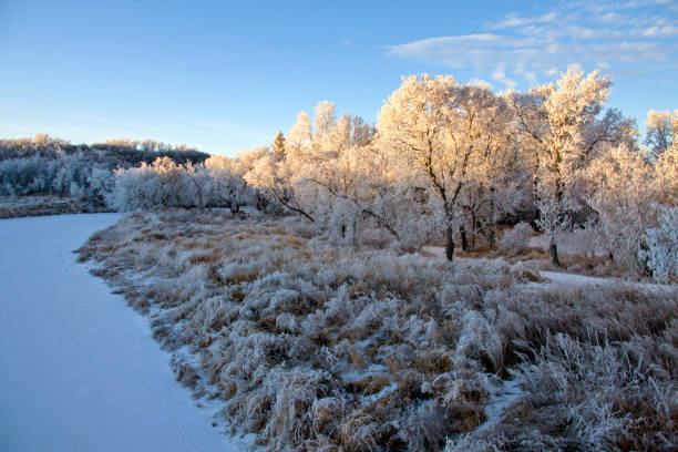 Winter Frost Saskatchewan stock photo