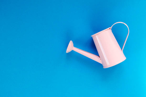 istock pink small watering can on blue background 1125701133