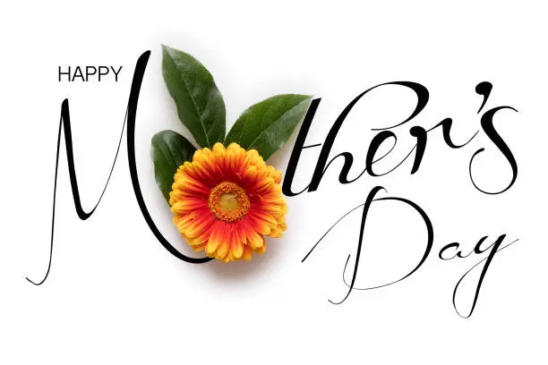 Happy Mother's Day Background. Flat lay greeting card with beautiful gerbera flowers on white background.