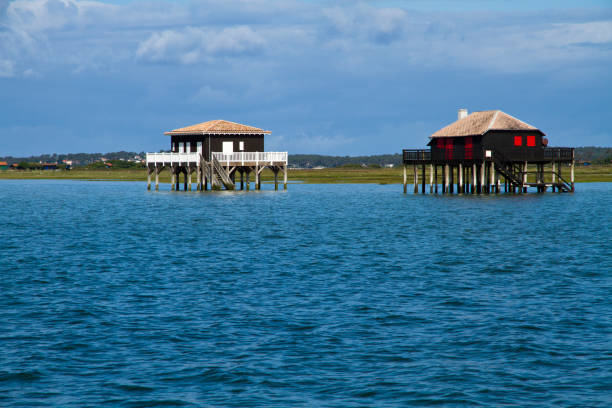 The huts of the Bassin d'Arcachon The famous cabins near Bird Island at high tide and low tide. hut photos stock pictures, royalty-free photos & images