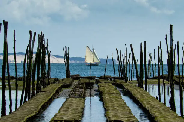 Photo of The oyster parks of the Bassin d'Arcachon