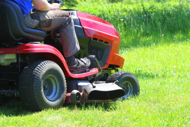 Gardener driving a riding lawn mower in a garden stock photo