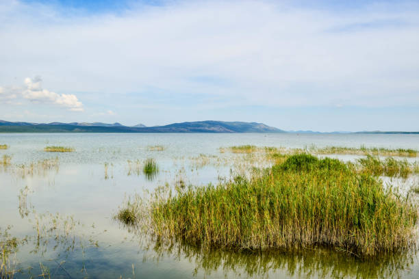 istock Lake Vrana, Croatia. 1125707335