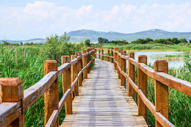 istock Lake Vrana, Croatia. 1125707380
