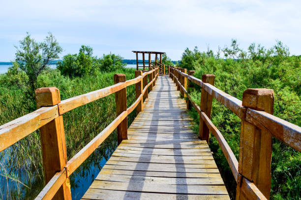 istock Lake Vrana, Croatia. 1125707388