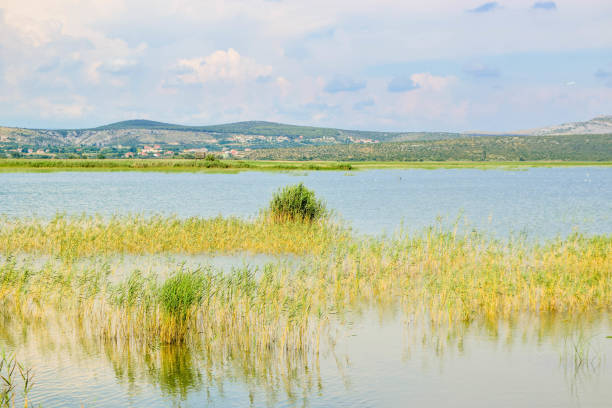 Landscape of Vrana Lake, Dalmatia, Croatia.