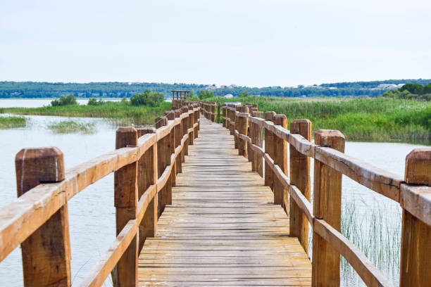 istock Lake Vrana, Croatia. 1125707466